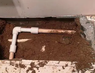 淳化测漏水哪家好