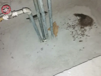 淳化卫生间测漏水价格明细