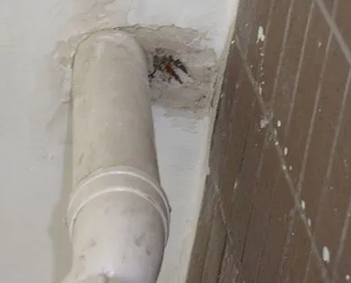 淳化漏水检测哪家好